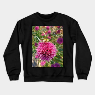 Allium Patient BEE Crewneck Sweatshirt